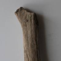Treibholz Schwemmholz Driftwood  1  XXL Stamm Dekoration  Garten  Lampe  100 cm Bild 2