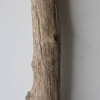 Treibholz Schwemmholz Driftwood  1  XXL Stamm Dekoration  Garten  Lampe  100 cm Bild 3