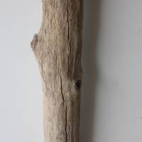 Treibholz Schwemmholz Driftwood  1  XXL Stamm Dekoration  Garten  Lampe  100 cm Bild 4