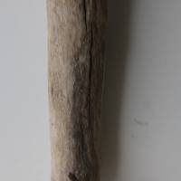 Treibholz Schwemmholz Driftwood  1  XXL Stamm Dekoration  Garten  Lampe  100 cm Bild 5