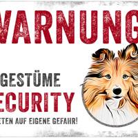 Hundeschild UNGESTÜME SECURITY (Sheltie), wetterbeständiges Warnschild Bild 1