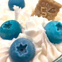 Blueberry Frozen Yoghurt Duftkerze - big - Blaubeerduft Bild 5