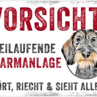 Hundeschild VORSICHT! FREILAUFENDE ALARMANLAGE (Rauhaardackel), wetterbeständiges Warnschild Bild 1