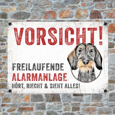 Hundeschild VORSICHT! FREILAUFENDE ALARMANLAGE (Rauhaardackel), wetterbeständiges Warnschild