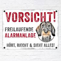 Hundeschild VORSICHT! FREILAUFENDE ALARMANLAGE (Rauhaardackel), wetterbeständiges Warnschild Bild 2