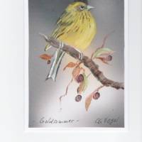 Grußkarte,  Vogelporträt      -  Goldammer   - handgemalt Bild 1