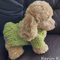 Pullover für kleine Hunde Lind Limonengrün gestrickt Wolle LEI Lana Grossa Rückenlänge 28 cm Bild 8