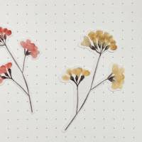 Blumen Blüten Boho | Aufkleber Bulletjournal | Journal Sticker | Flowers | Trockenblumen Bild 6