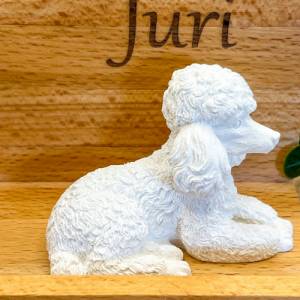 Geschenkset Hund  / Hund / Pudel mit Holzaufsteller Bild 2