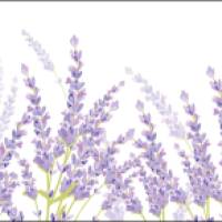Vlies Bordüre: Lavendel - optional selbstklebend - 20 cm Höhe Bild 10