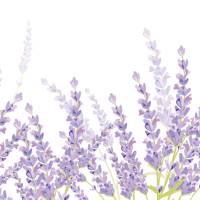 Vlies Bordüre: Lavendel - optional selbstklebend - 20 cm Höhe Bild 9