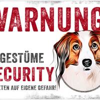 Hundeschild UNGESTÜME SECURITY (Kooikerhondje), wetterbeständiges Warnschild Bild 1
