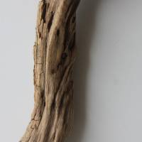 Treibholz Schwemmholz Driftwood  1 XXL  Ast   Dekoration  Garten  Lampe  80 cm Bild 3
