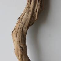 Treibholz Schwemmholz Driftwood  1 XXL  Ast   Dekoration  Garten  Lampe  80 cm Bild 4