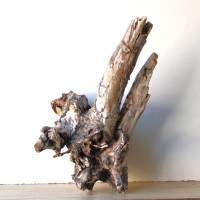 Treibholz Schwemmholz Driftwood  1  knorrige  XL  Wurzel  Dekoration  Garten  Lampe  52  cm hoch Bild 1