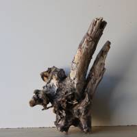 Treibholz Schwemmholz Driftwood  1  knorrige  XL  Wurzel  Dekoration  Garten  Lampe  52  cm hoch Bild 3