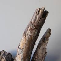 Treibholz Schwemmholz Driftwood  1  knorrige  XL  Wurzel  Dekoration  Garten  Lampe  52  cm hoch Bild 6