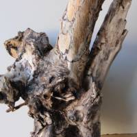 Treibholz Schwemmholz Driftwood  1  knorrige  XL  Wurzel  Dekoration  Garten  Lampe  52  cm hoch Bild 7