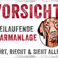 Hundeschild VORSICHT! FREILAUFENDE ALARMANLAGE (Vizsla), wetterbeständiges Warnschild Bild 1