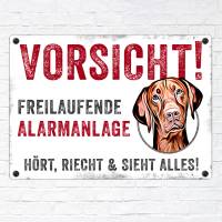 Hundeschild VORSICHT! FREILAUFENDE ALARMANLAGE (Vizsla), wetterbeständiges Warnschild Bild 2