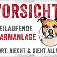 Hundeschild VORSICHT! FREILAUFENDE ALARMANLAGE (American Staffordshire Terrier), wetterbeständiges Warnschild Bild 1