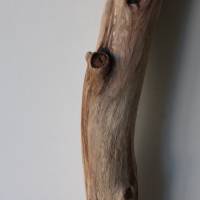 Treibholz Schwemmholz Driftwood  1 XXL  Ast Buche  Dekoration  Garten  Lampe  109 cm Bild 10