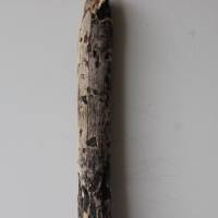 Treibholz Schwemmholz Driftwood  1 XXL  Ast   Dekoration  Garten  Lampe  109 cm Bild 3