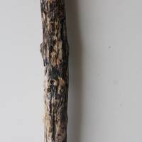 Treibholz Schwemmholz Driftwood  1 XXL  Ast   Dekoration  Garten  Lampe  109 cm Bild 4