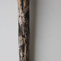 Treibholz Schwemmholz Driftwood  1 XXL  Ast   Dekoration  Garten  Lampe  109 cm Bild 9