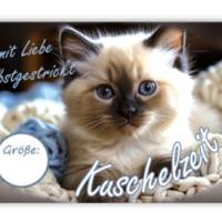 6 Sockenbanderolen: Kuschelzeit - niedliche Babykatze mit Wolle - personalisierbar | mit transparente Klebepunkte Bild 3