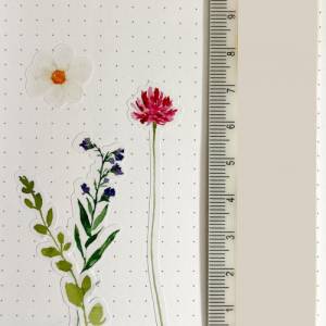 Sticker Sommerblumen | Kranz | Wiesenblumen | Journal | Bulletjournal Bild 6