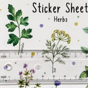 Sticker Kräuter | Herbs | Aufkleber Bulletjournal | Journal Sticker Bild 5
