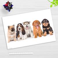 5 süße Hundewelpen – 60 x 40 cm – Schreibunterlage aus hochwertigem Vinyl – Made in Germany! Bild 1