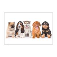5 süße Hundewelpen – 60 x 40 cm – Schreibunterlage aus hochwertigem Vinyl – Made in Germany! Bild 2