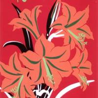 Blumengrüße * 10 Postkarten Aloha, mit Amaryllis auf Rot Bild 1