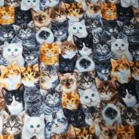 Stoff mit Katzen aller Art! für Ihr nächstes Katzen - Nähprojekt Bild 1