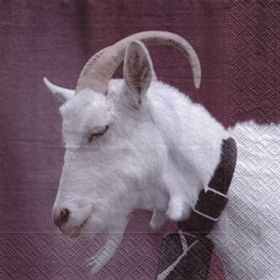 10 einzelne Lunchservietten Distelfink, Ziegenbock mit Glocke von Ternberger