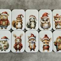 Button / Magnet: Weihnachtsliche Tiermotive ausm Wald ~ 68x44mm ~ Auswahl aus 10 Motiven Bild 1