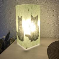 Glaslampe Katze Bild 4