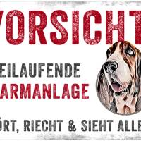 Hundeschild VORSICHT! FREILAUFENDE ALARMANLAGE (Basset Hound), wetterbeständiges Warnschild Bild 1