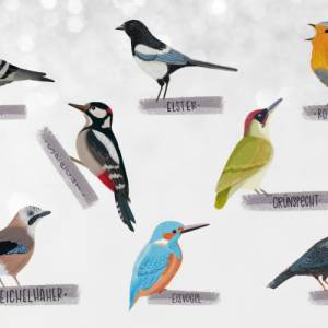 Sticker Singvögel | Aufkleber Bulletjournal | Journal Sticker | Sticker Natur & Vögel Bild 2