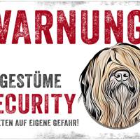 Hundeschild UNGESTÜME SECURITY (Briard), wetterbeständiges Warnschild Bild 1