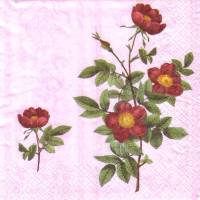 10 einzelne Lunchservietten Zweig mit roten Wildrosen auf Rosa, von PAW Bild 1