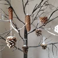Natürliche Weihnachtsdeko - Zapfen als Weihnachtsbaumschmuck - Winter Dekoration zum hängen Bild 2