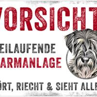 Hundeschild VORSICHT! FREILAUFENDE ALARMANLAGE (Schnauzer), wetterbeständiges Warnschild Bild 1