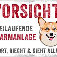 Hundeschild VORSICHT! FREILAUFENDE ALARMANLAGE (Corgi), wetterbeständiges Warnschild Bild 1