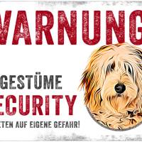 Hundeschild UNGESTÜME SECURITY (Doodle), wetterbeständiges Warnschild Bild 1