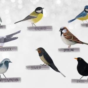 Sticker Singvögel | Aufkleber Bulletjournal | Journal Sticker | Sticker Natur & Vögel Bild 2