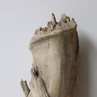 Treibholz Schwemmholz Driftwood  1 knorrige   Skulptur   Dekoration  Garten  Terrarium Weihnachten 39 cm Bild 7