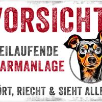 Hundeschild VORSICHT! FREILAUFENDE ALARMANLAGE (Zwergpinscher), wetterbeständiges Warnschild Bild 1